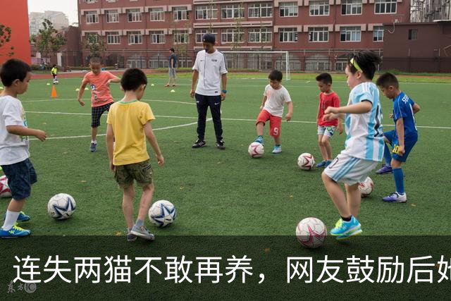 连失两猫不敢再养，网友鼓励后她试养最甜小猫终收编